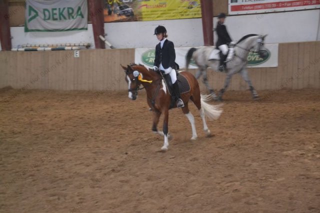 reitertag 2013 152